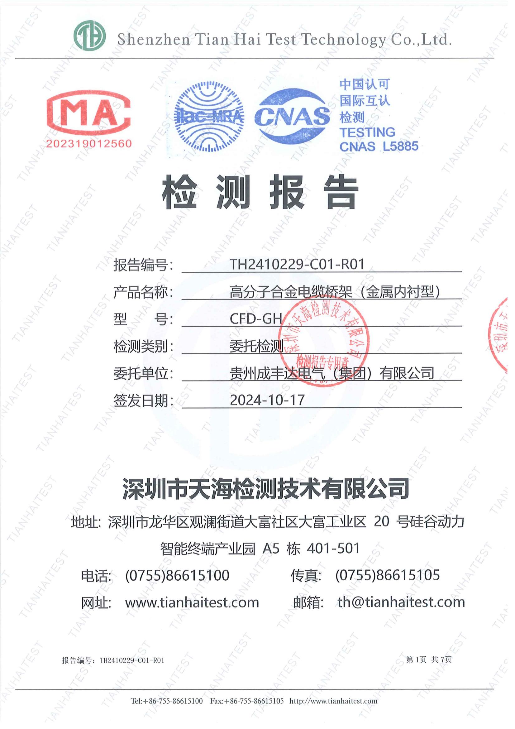 �߷��ӺϽ�����żܣ������ڳ��ͣ�-���鱨�棨���ܼ�⣩TH2410229-C01-R01