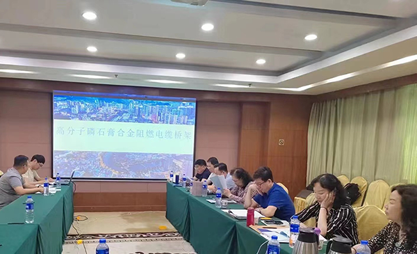中电协低压成套开关设备和控制设备标准化专业委员会《高分子合金磷石膏阻燃电缆桥架》团体标准技术审查会顺利召开